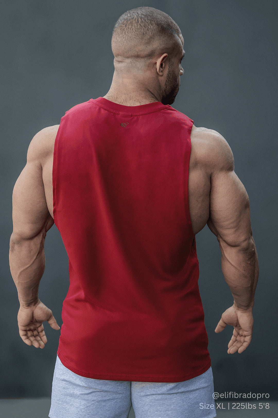 Apollo Men's Sleeveless Training Tee - Crimson Red